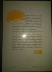 NAZIM HİKMET - FERHAD İLE ŞİRİN