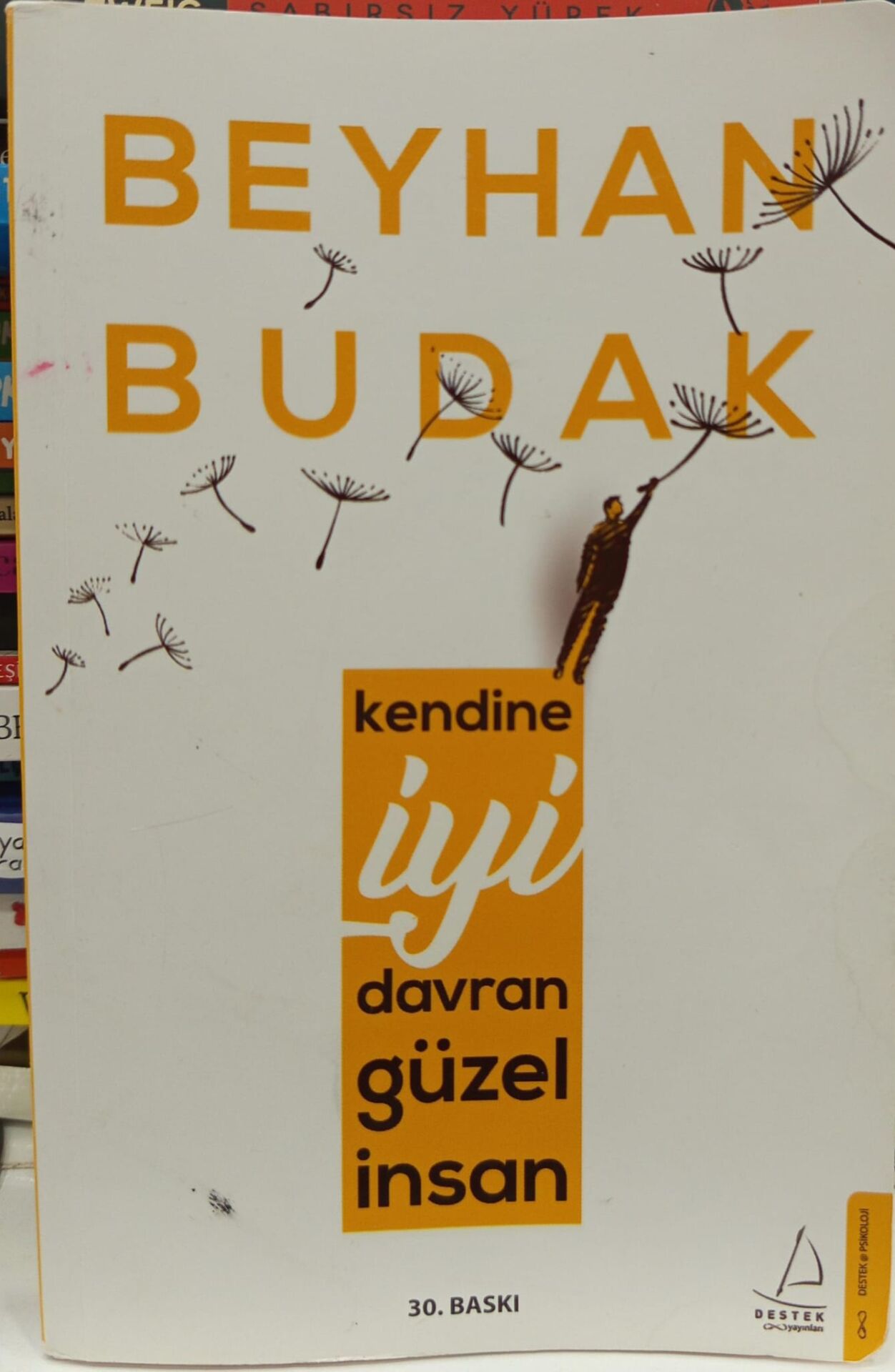 Kendine İyi Davran Güzel İnsan - Beyhan Budak