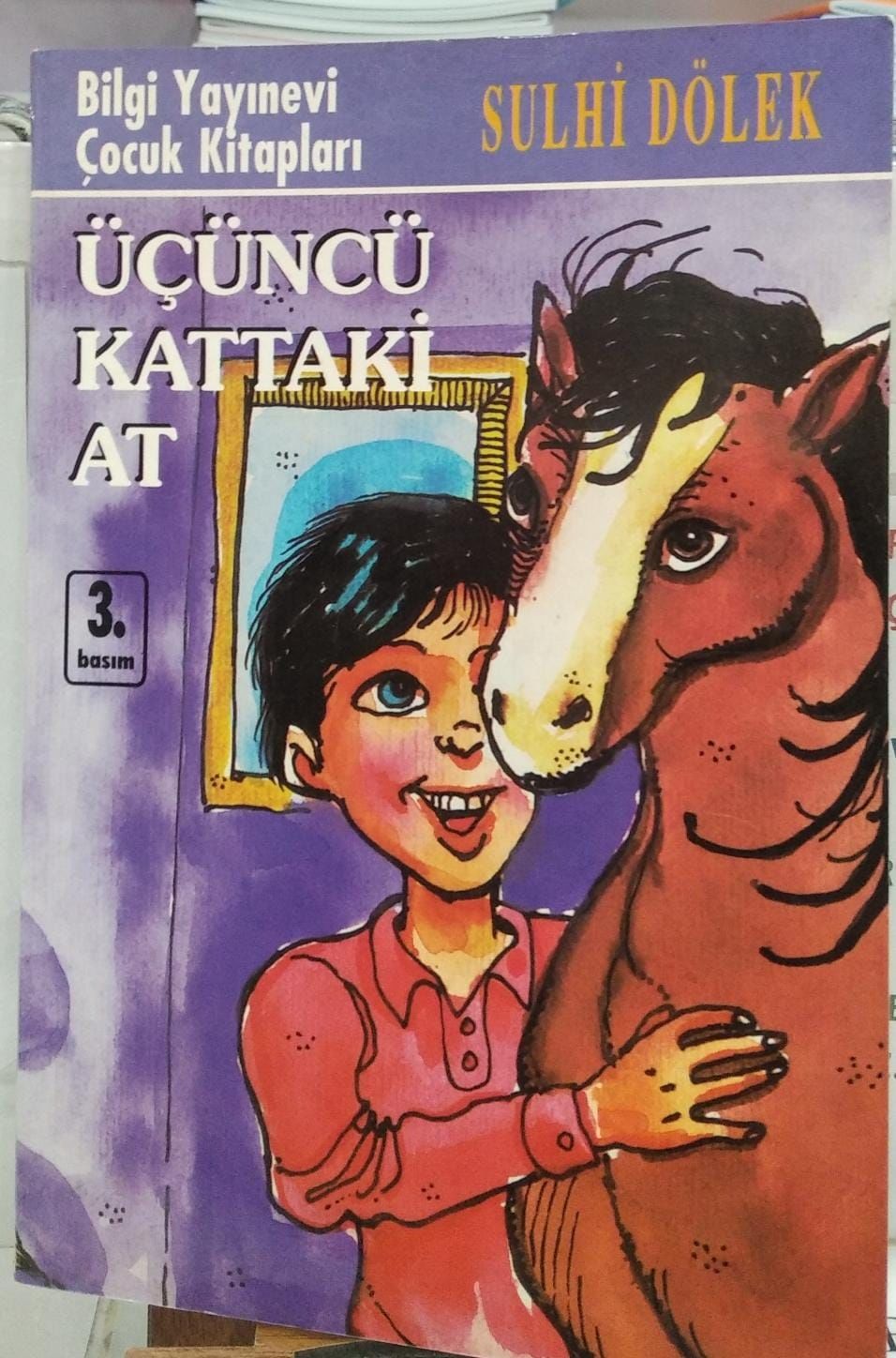 Üçüncü Kattaki At - Sulhi Dölek
