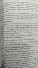 Spor Yaralanmalarında Fizyoterapi ve Rehabilitasyon Prensipleri