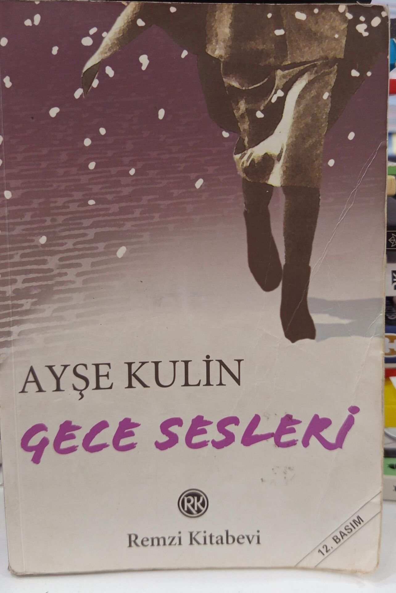 Gece Sesleri - Ayşe Kulin