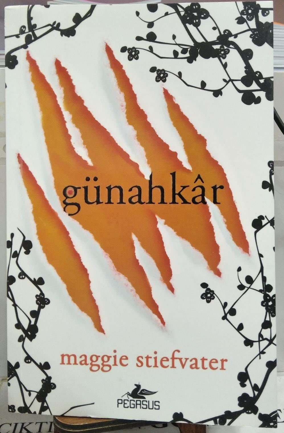 Günahkar - Maggie Stiefvater