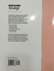 Endgame Strategy (Cadogan Chess Books) - Mikhail Shereshevsky