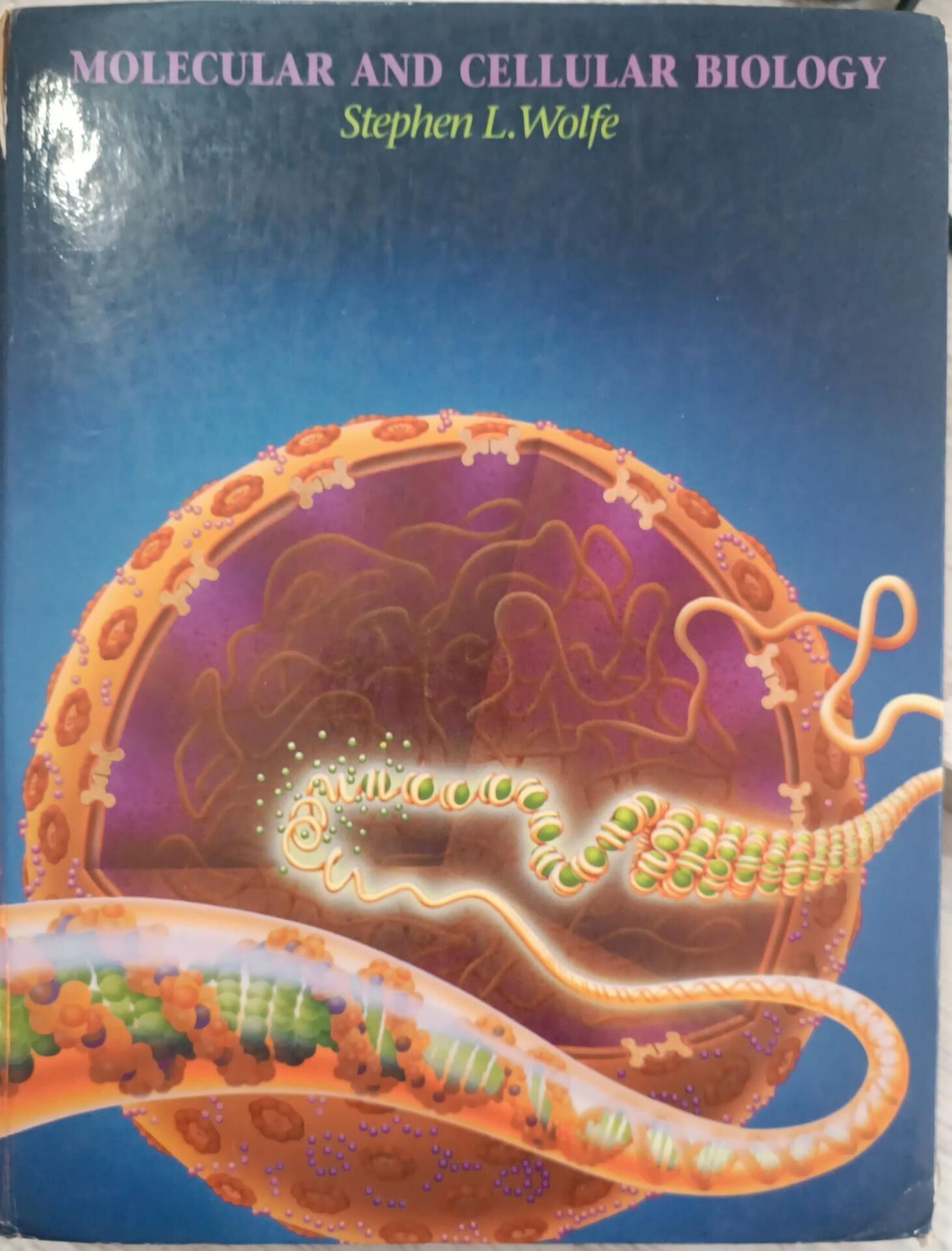 Molecular and Cellular Biology - Stephen L. Wolfe