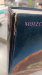 Molecular and Cellular Biology - Stephen L. Wolfe