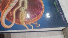 Molecular and Cellular Biology - Stephen L. Wolfe