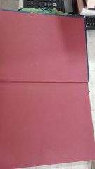 Molecular and Cellular Biology - Stephen L. Wolfe