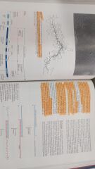 Molecular and Cellular Biology - Stephen L. Wolfe