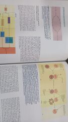 Molecular and Cellular Biology - Stephen L. Wolfe