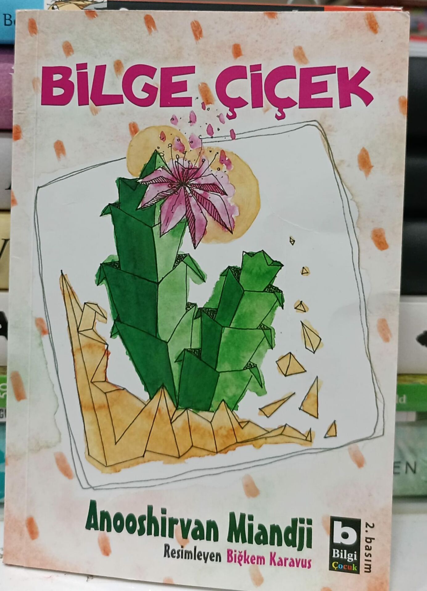 Bilge Çiçek - Anooshirvan Miandji
