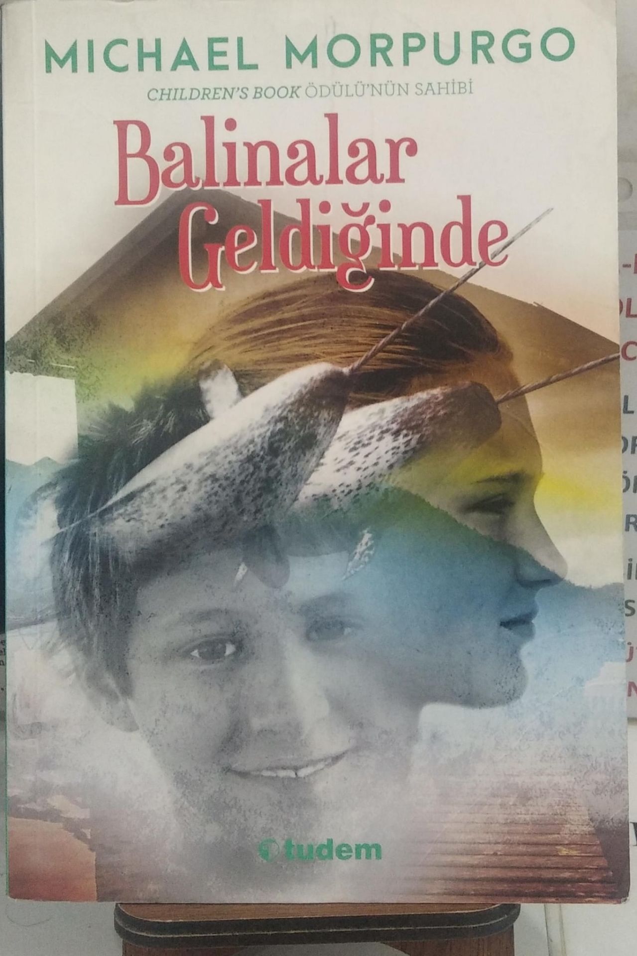 Balinalar Geldiğinde - Michael Morpurgo