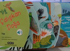 Çalışkan Doğa - Yaz - Sesli Kitap