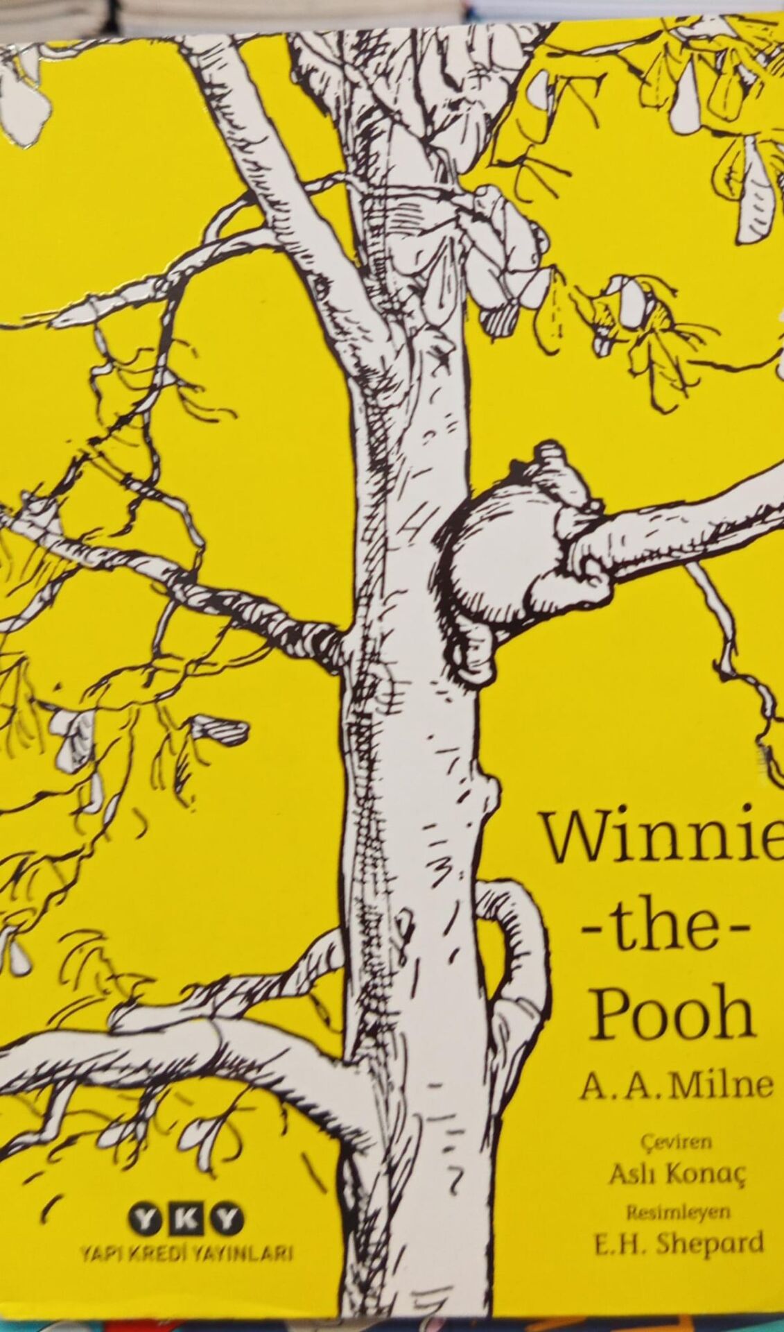 Winnie the Pooh - A. A. Milne
