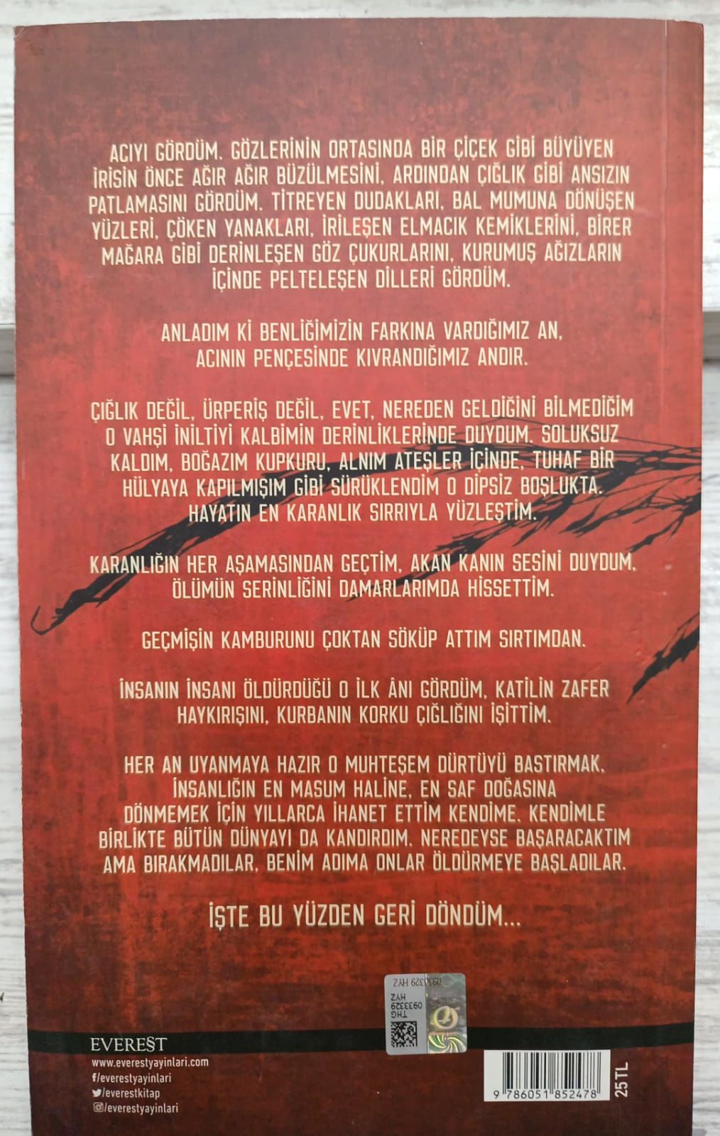 Kırlangıç Çığlığı - Ahmet Ümit