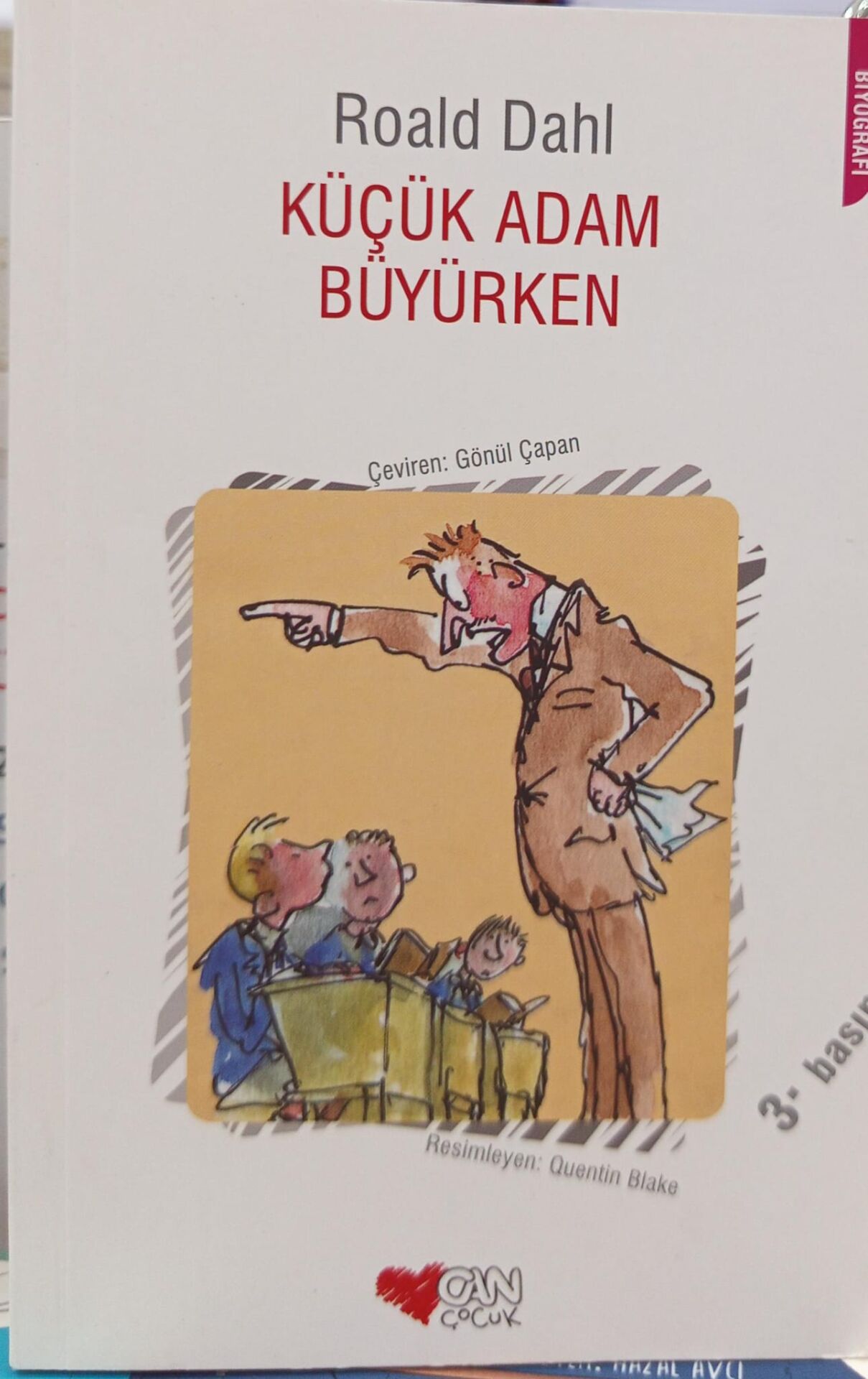 Küçük Adam Büyürken - Roald Dahl