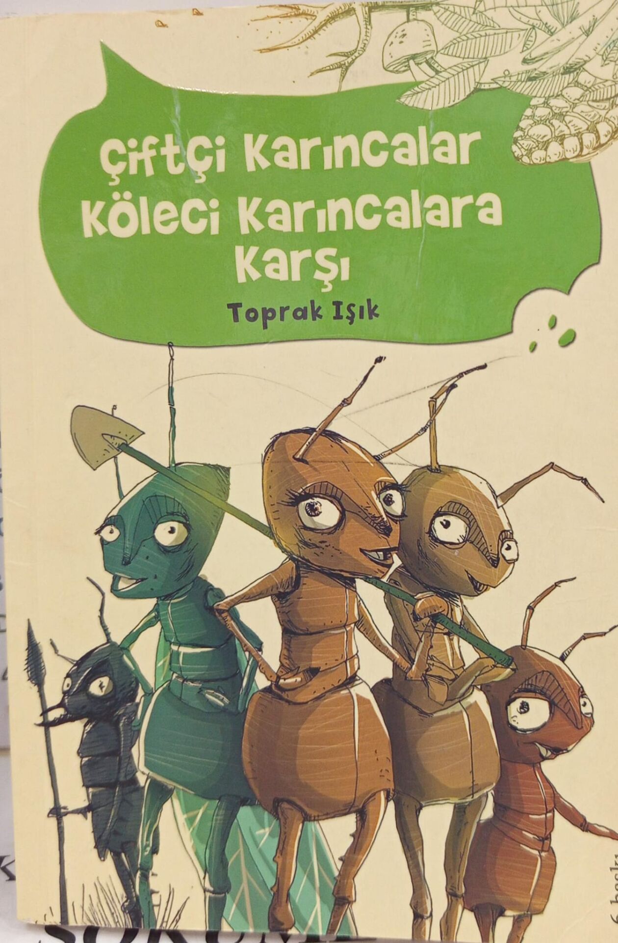 Çiftçi Karıncalar Köleci Karıncalara Karşı - Toprak Işık