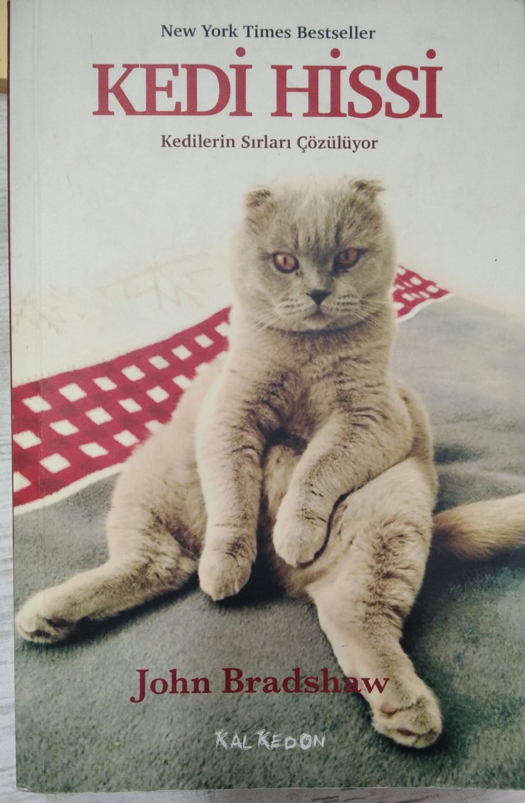 Kedi Hissi