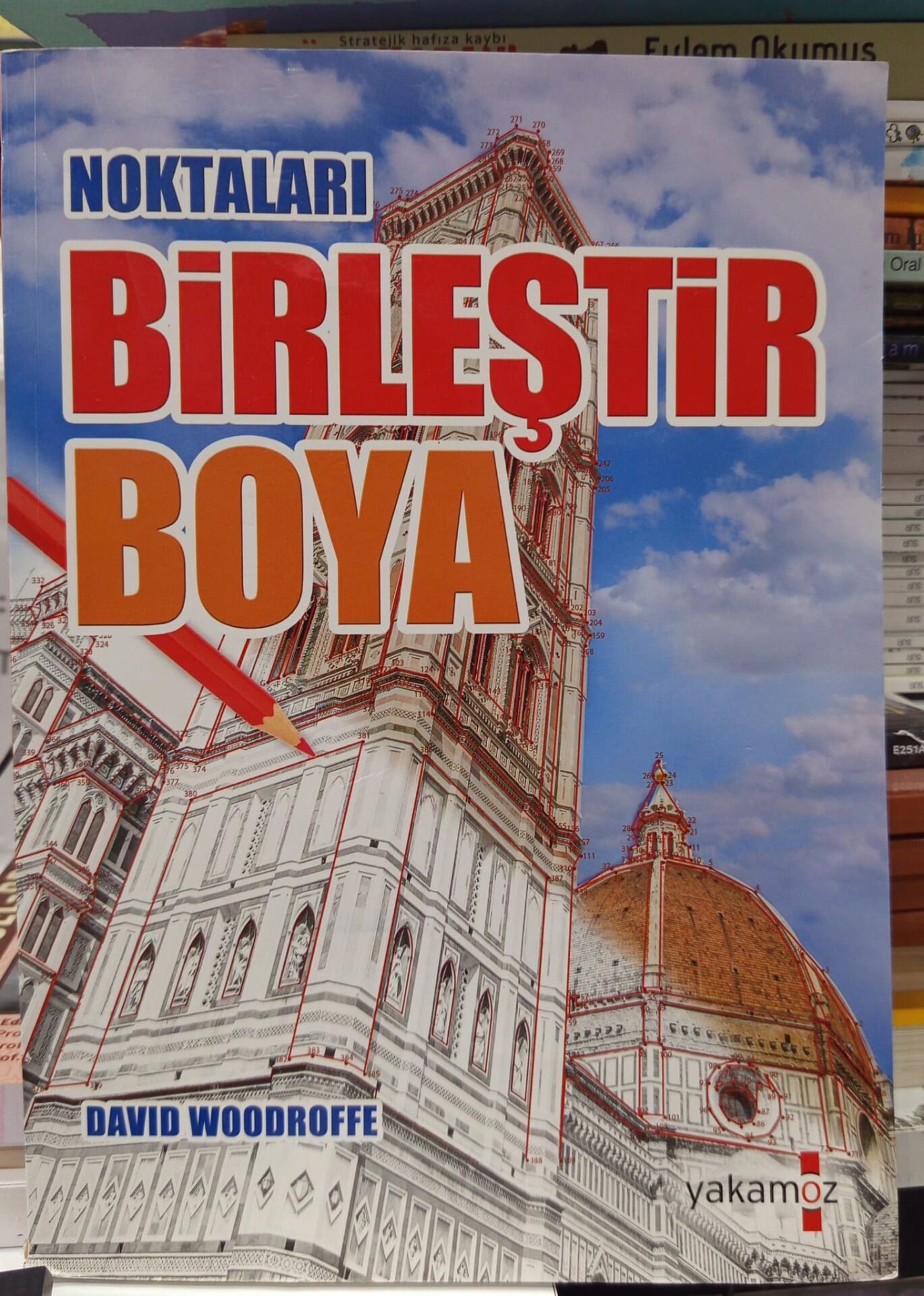 Noktaları Birleştir Boya - David Woodroffe