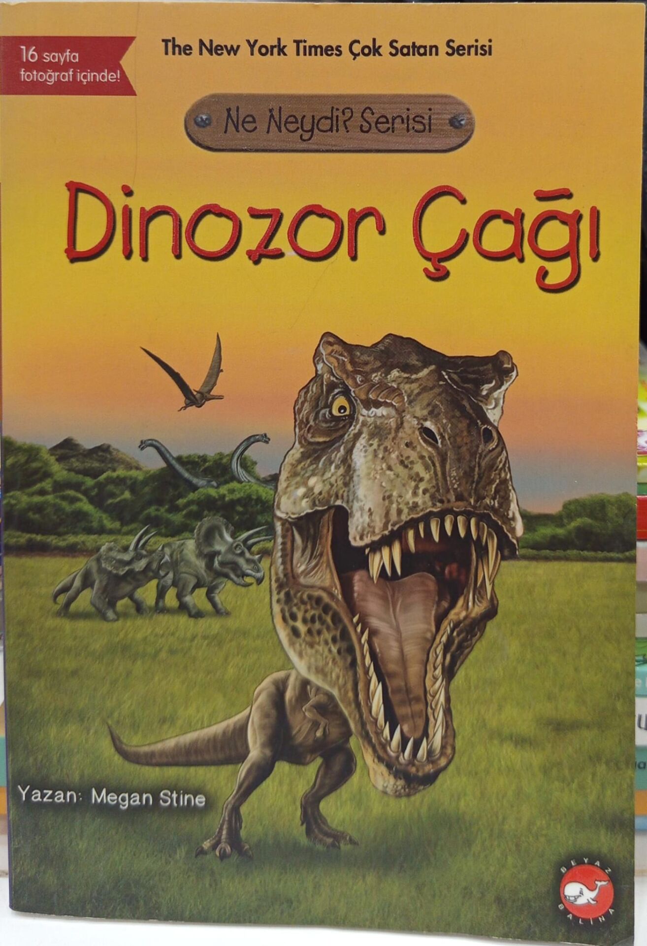 Dinozor Çağı - Ne Neydi? Serisi - Megan Stine