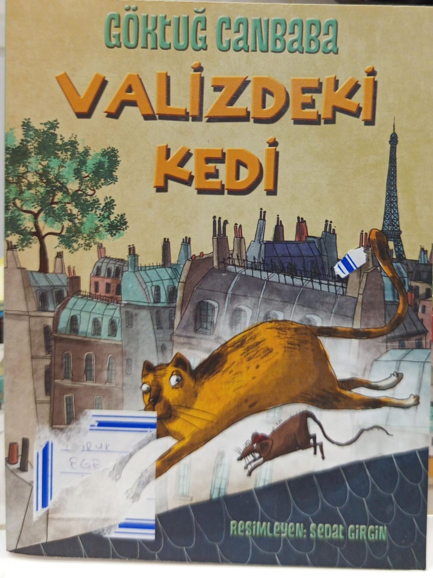Valizdeki Kedi - Göktuğ Canbaba