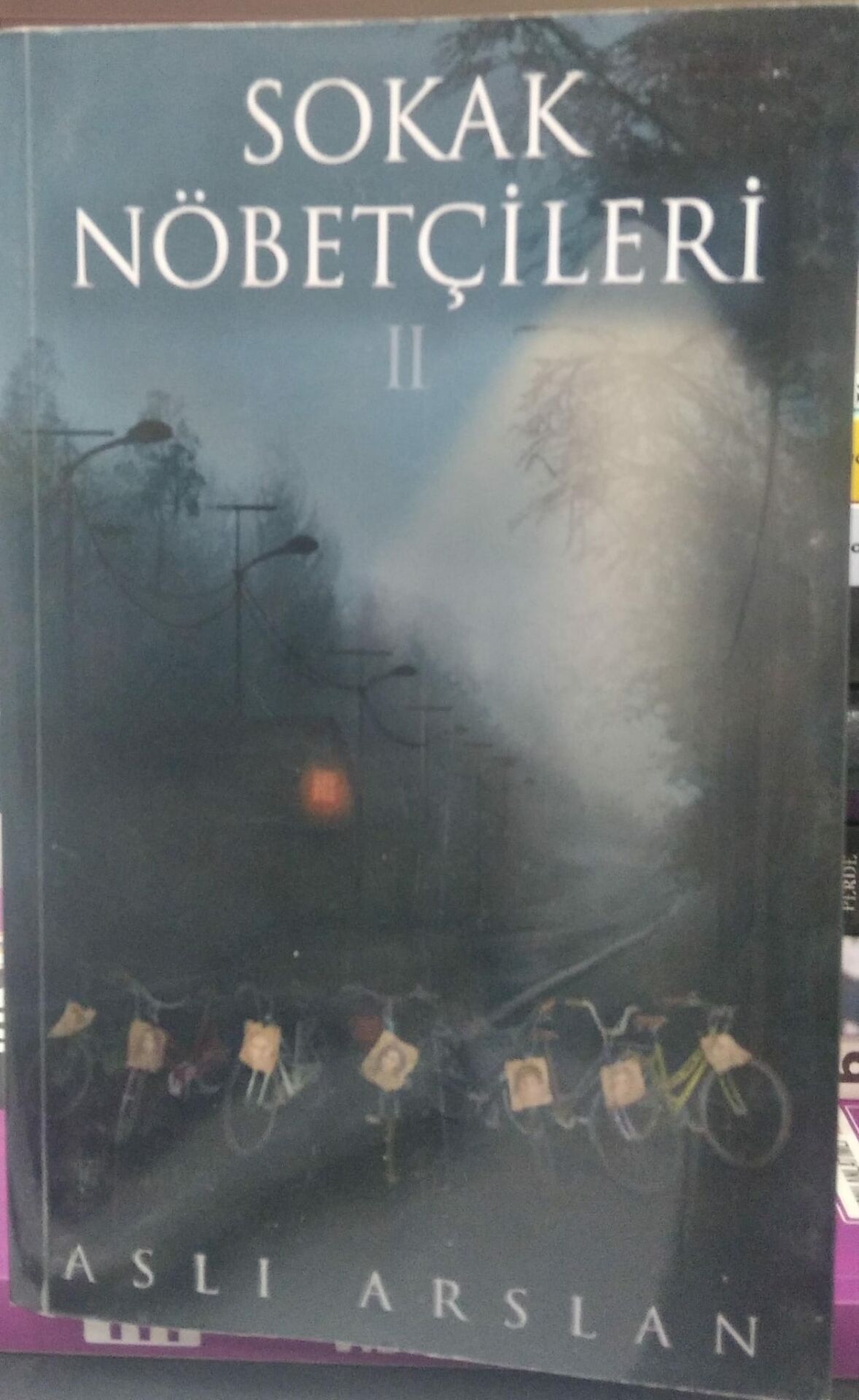 Sokak Nöbetçileri 2 - Aslı Arslan