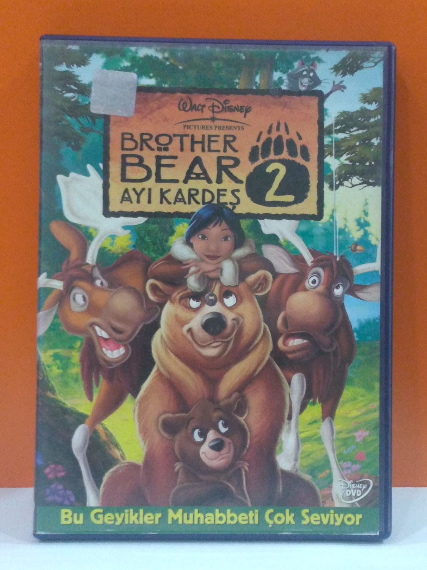 Brother Bear 2 - Ayi Kardes 2