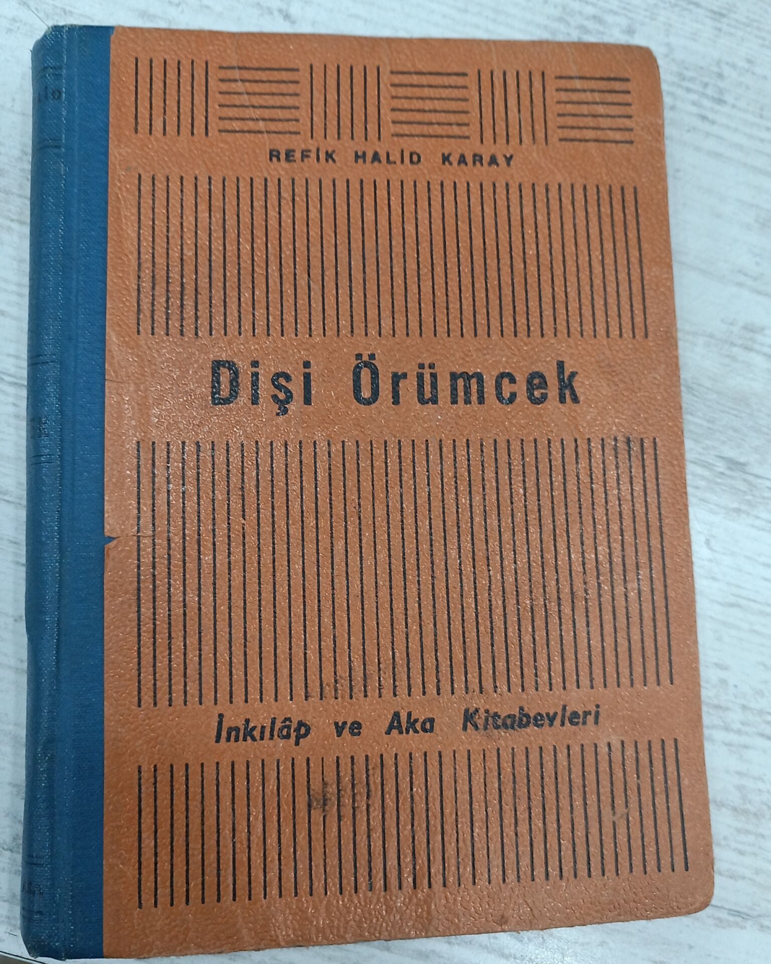 Dişi Örümcek - Refik Halid Karay - İkinci Basım.