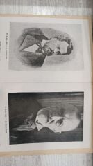 Namık Kemal ve Abdülhak Hamid - Fevziye Abdullah Tansel - 1949