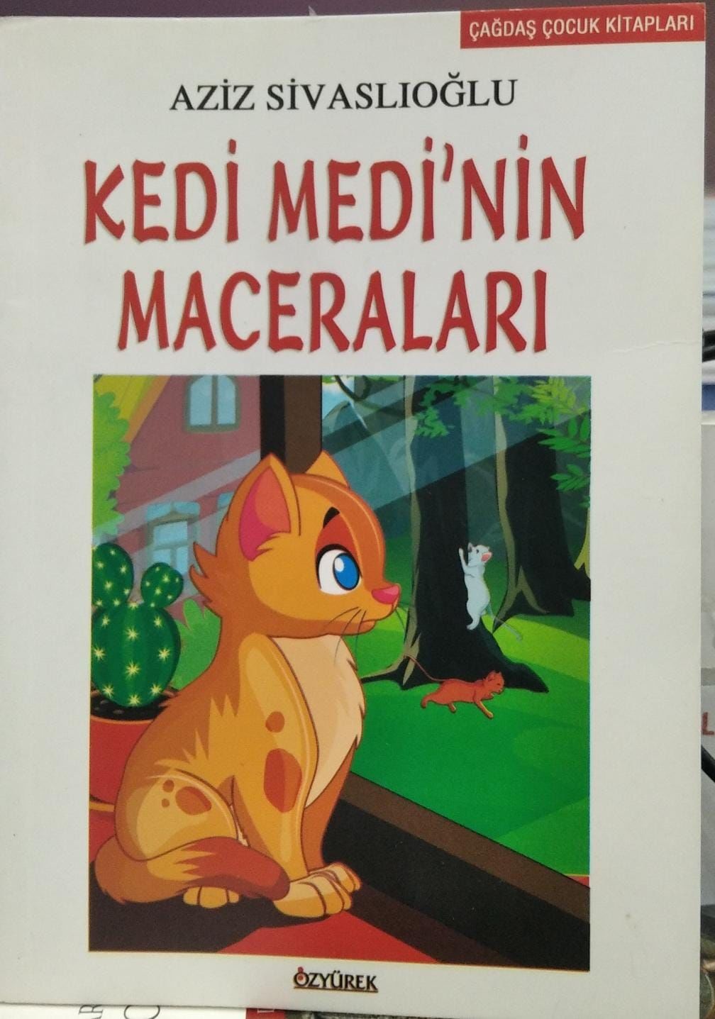Kedi Medi'nin Maceraları - Aziz Sivaslıoğlu
