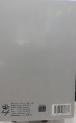 Ruhsal Bozuklukların Tanısal Ve Sayımsal El Kitabı Cİlt 2