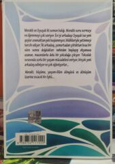 Meraklı - Bir Somon Balığının Serüvenleri