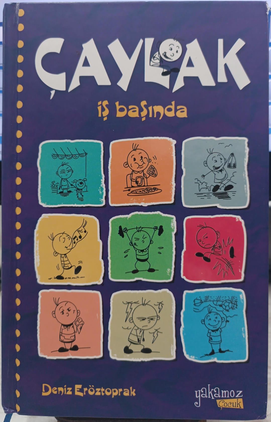 Çaylak İş Başında - Deniz Eröztoprak