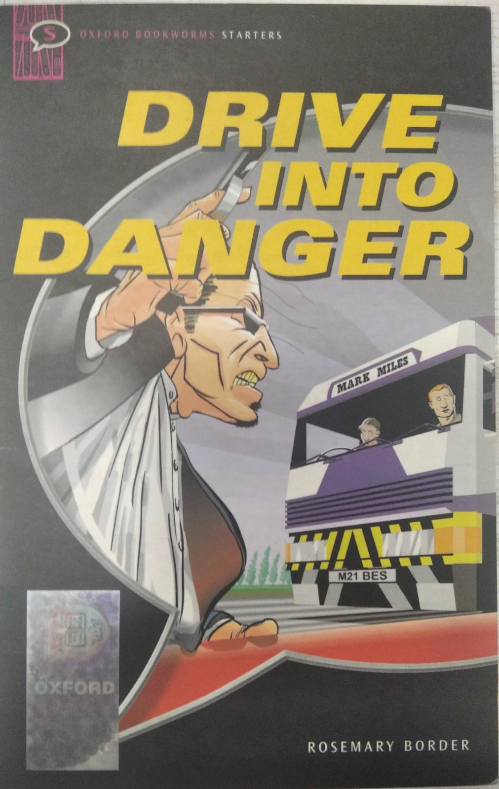 DRIVE INTO DANGER - ROSEMARY BORDER