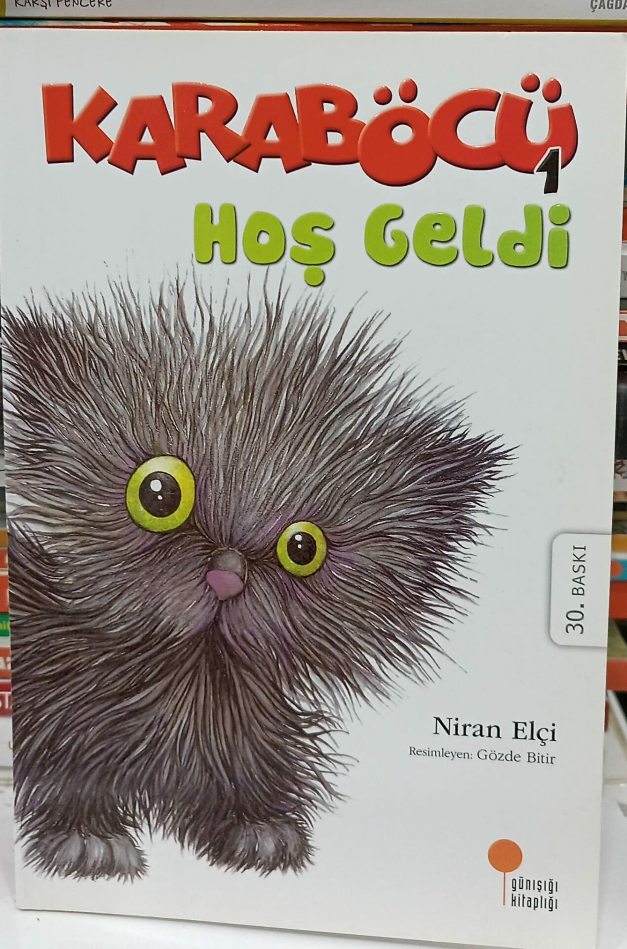 Karaböcü Hoş Geldi - Niran Elçi