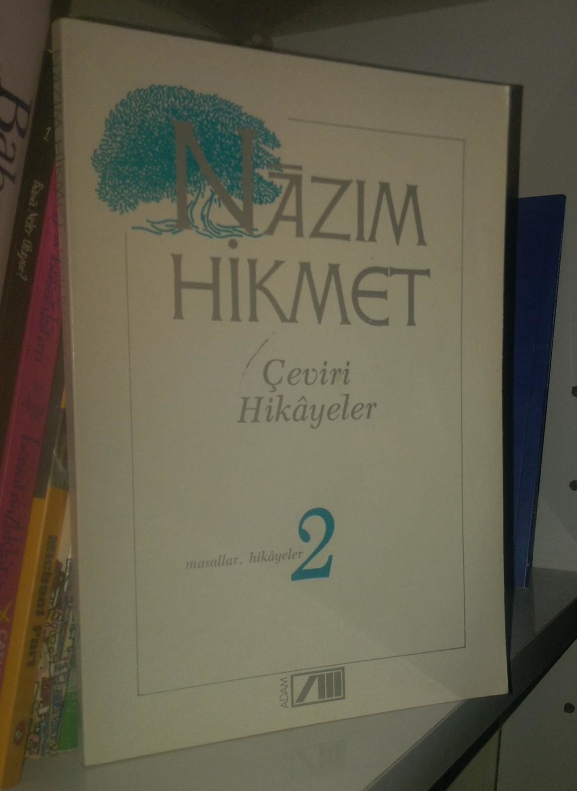 Çeviri Hikayeler