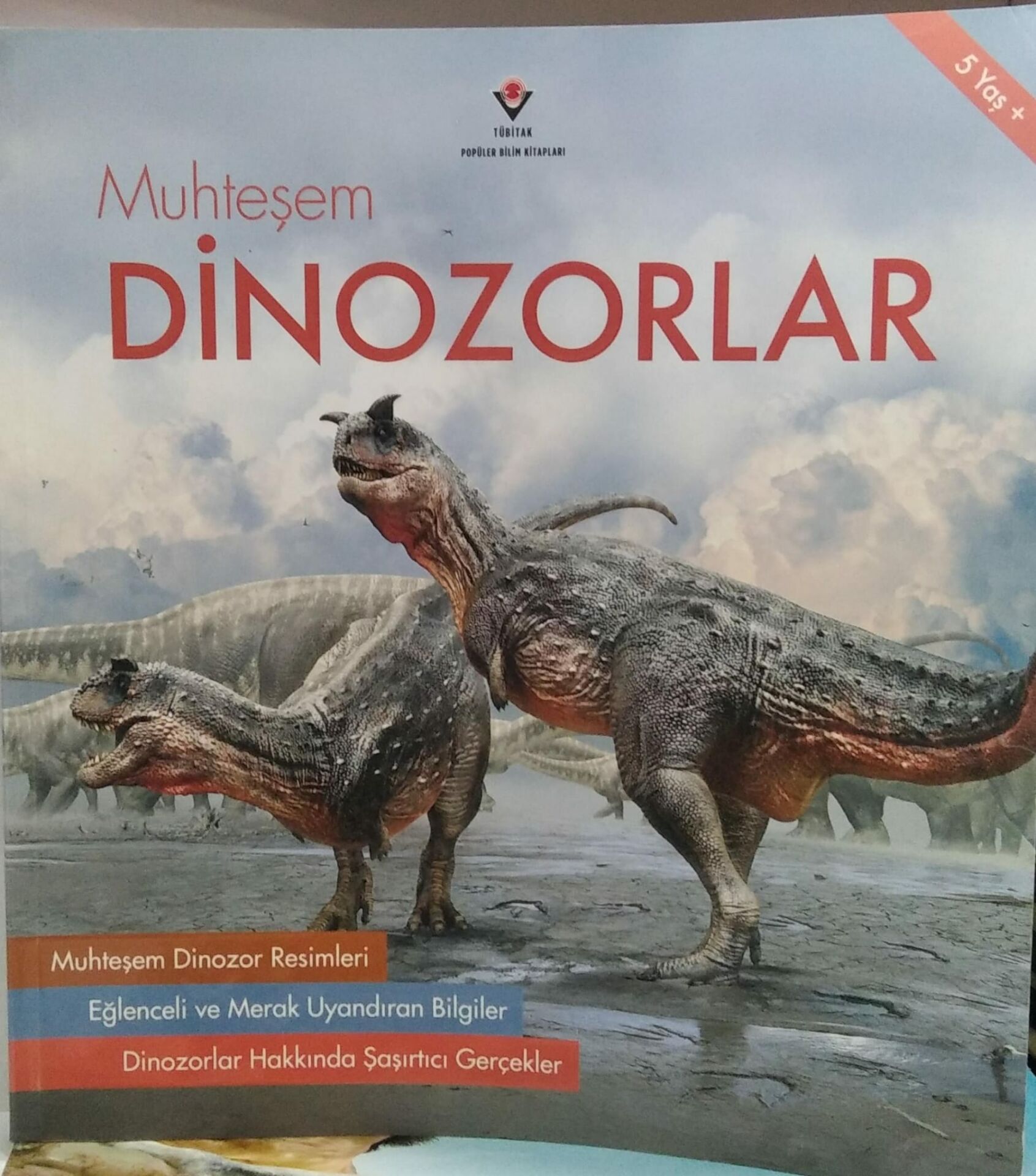 Muhteşem Dinozorlar - Bridget Fitzgerald