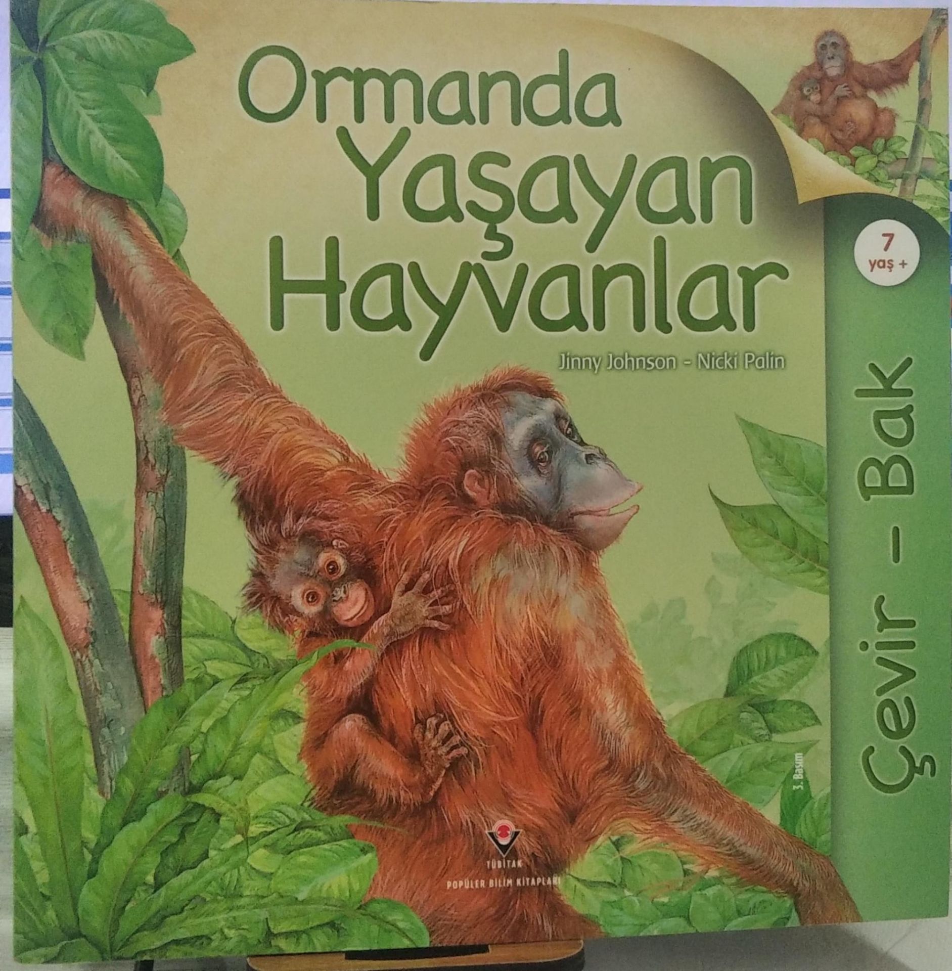 Çevir Bak - Ormanda Yaşayan Hayvanlar - Jinny Johnson