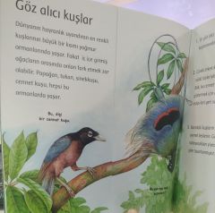 Çevir Bak - Ormanda Yaşayan Hayvanlar - Jinny Johnson