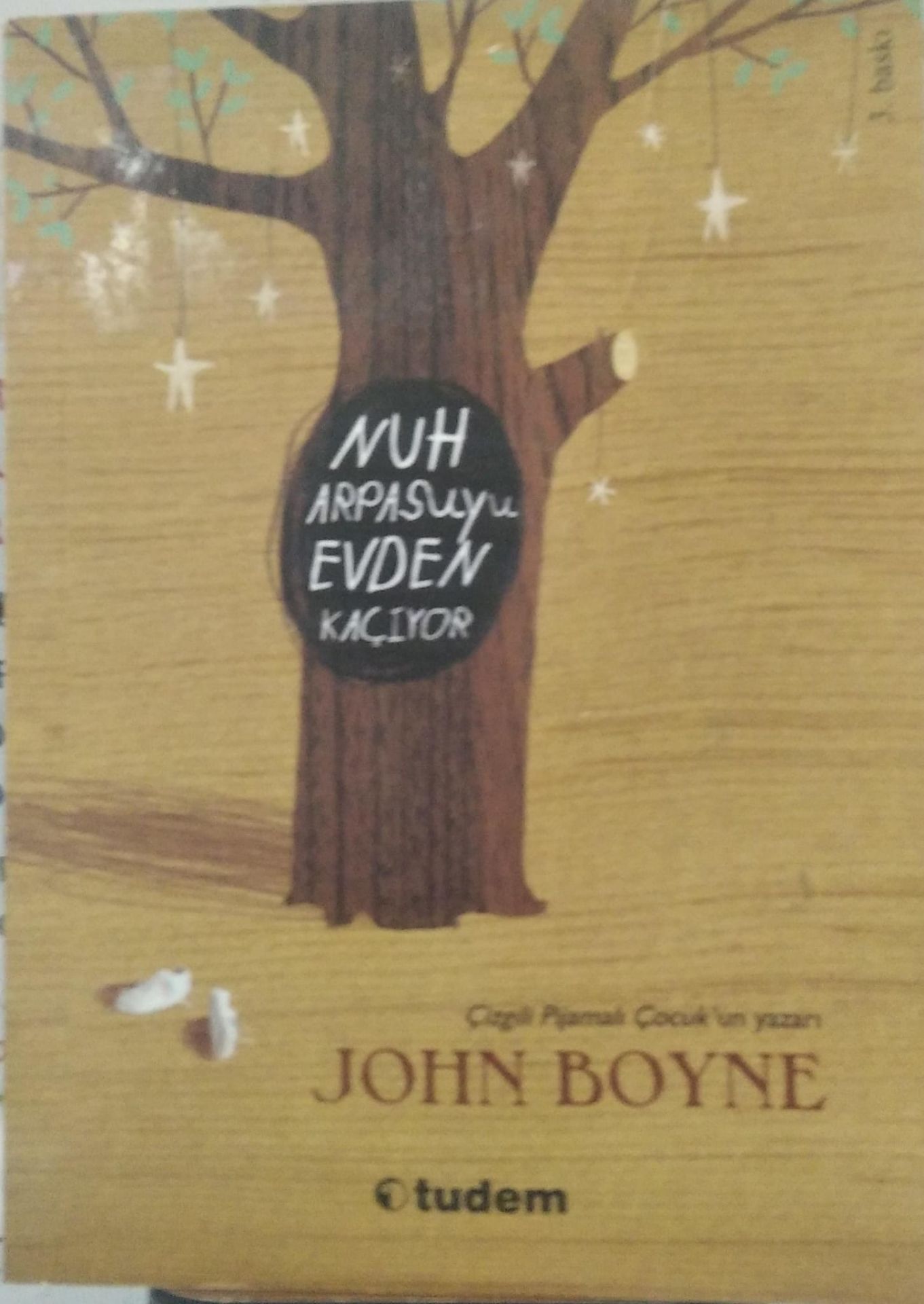 Nuh Arpasuyu Evden Kaçıyor - John Boyne