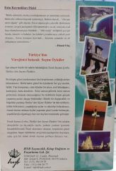 Tavuk Suyuna Çorba - Türkiye'den Yüreğinizi Isıtacak Seçme Öyküler