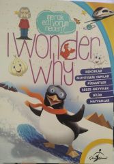 I Wonder Why - Merak Ediyorum Neden? Rekorlar