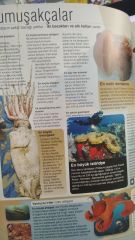 Guinness World Records 2015