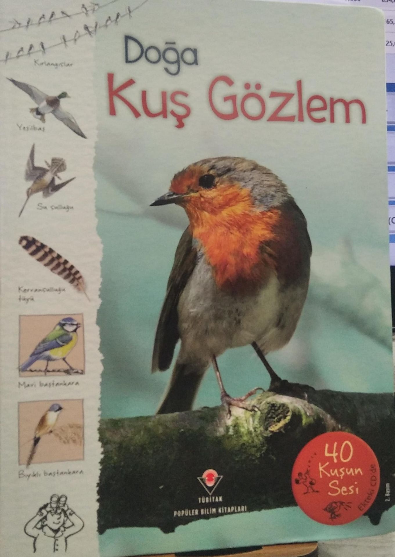 Doğa - Kuş Gözlem - Susanna Davidson