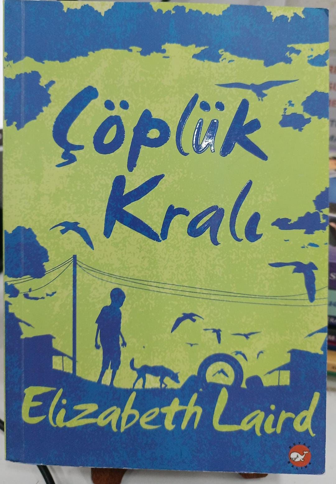 Çöplük Kralı - Elizabeth Laird