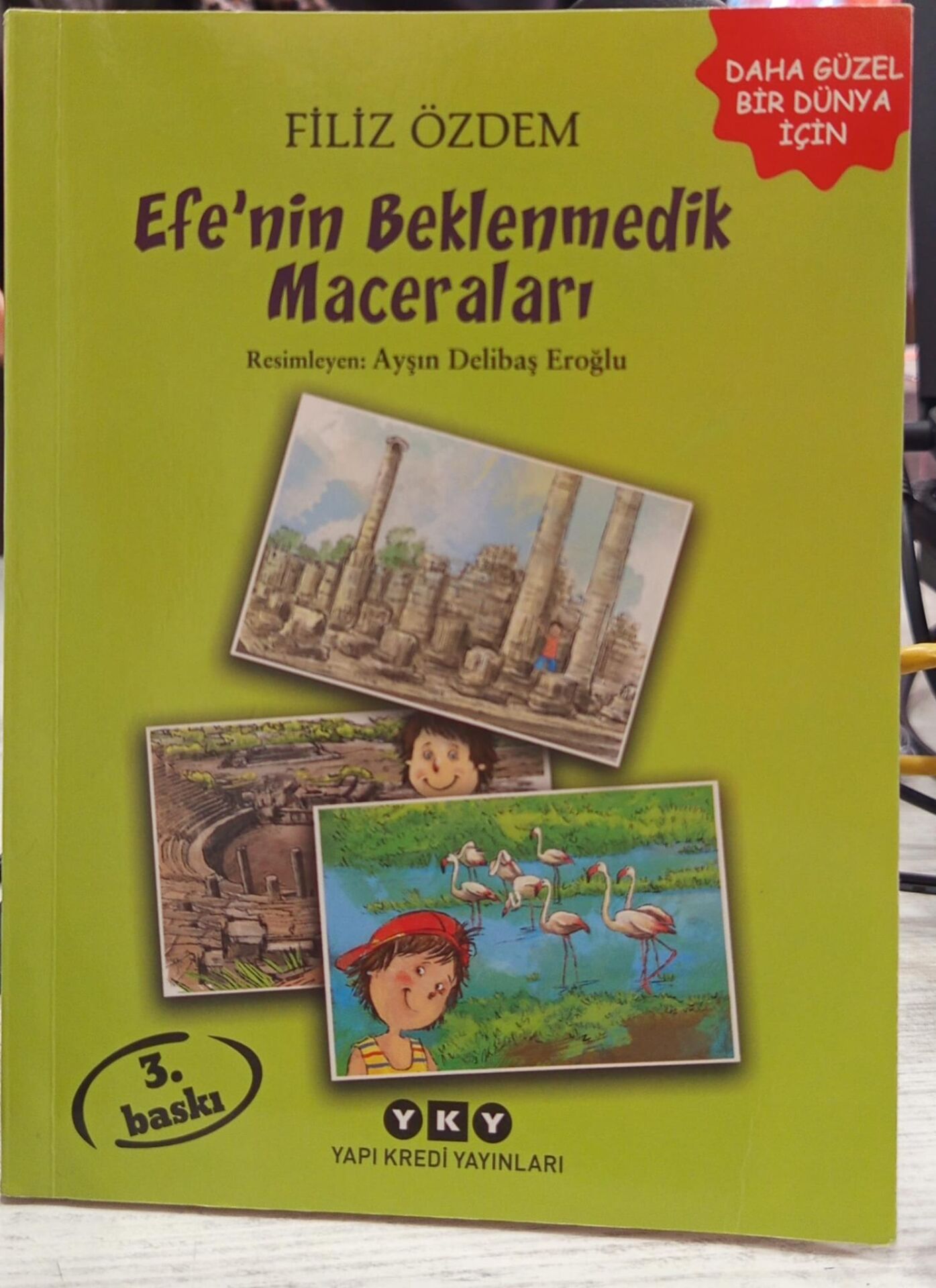 Efe’nin Beklenmedik Maceraları - Filiz Özdem