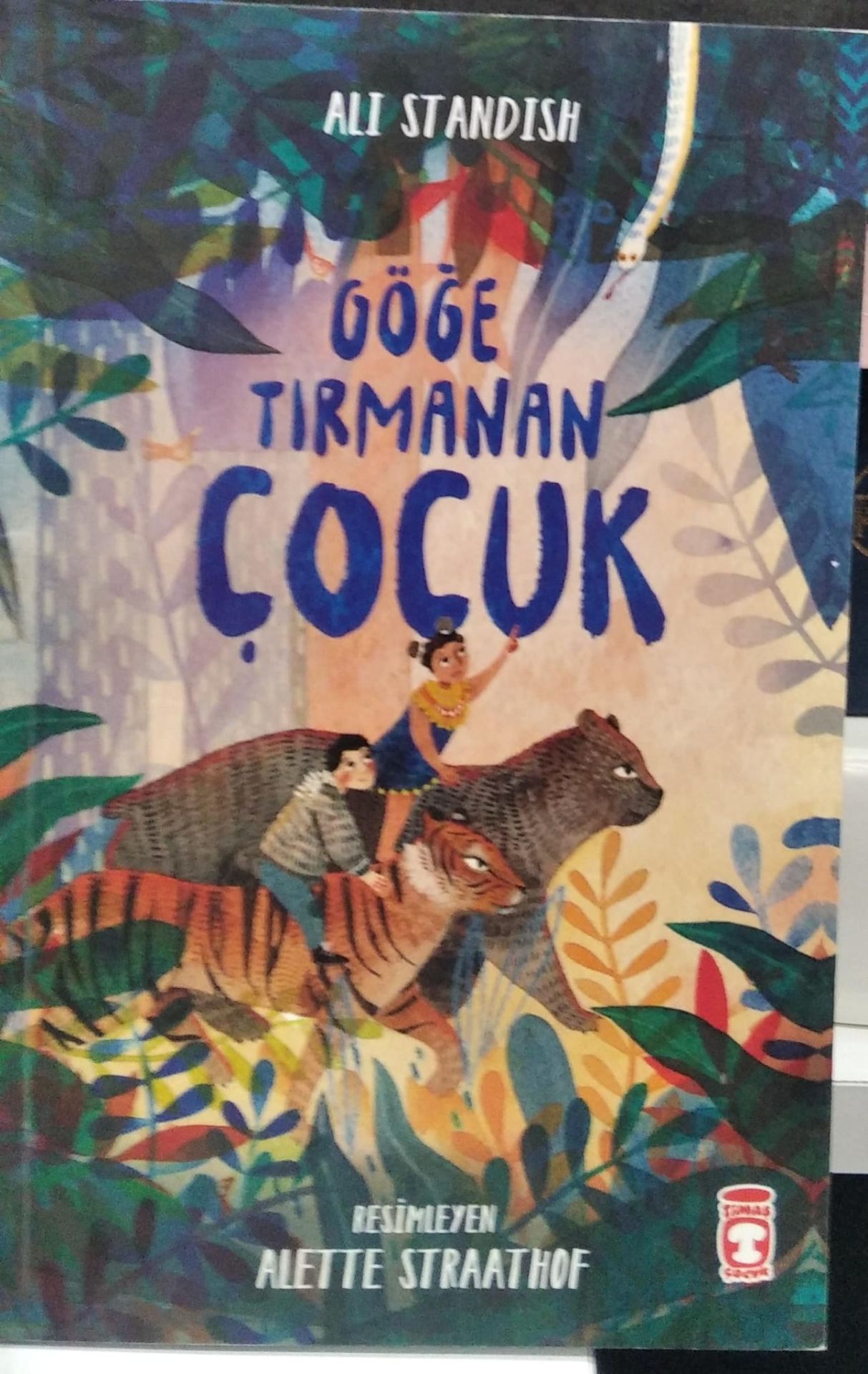 Göğe Tırmanan Çocuk - Ali Standish