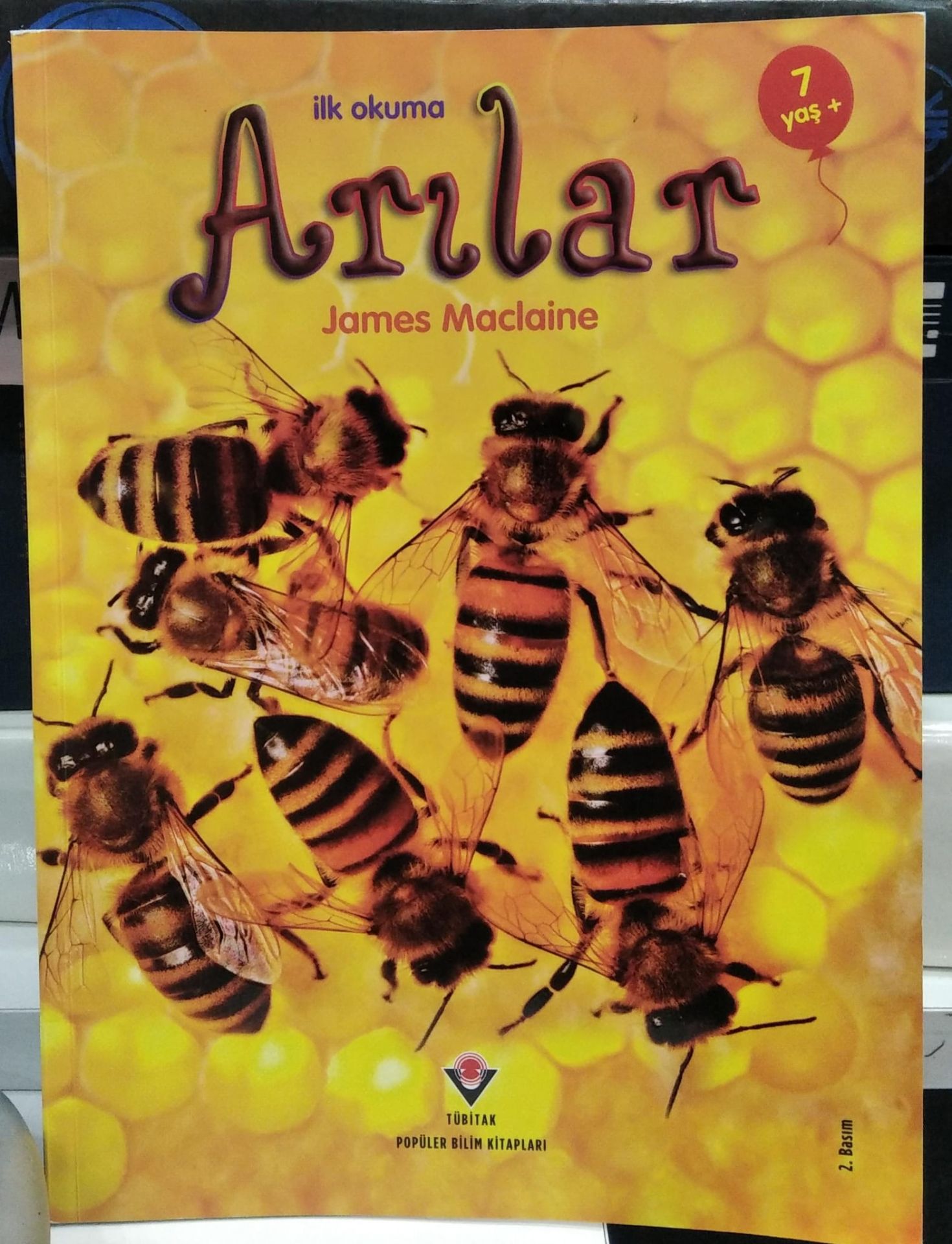 İlk Okuma - Arılar / James Maclaine