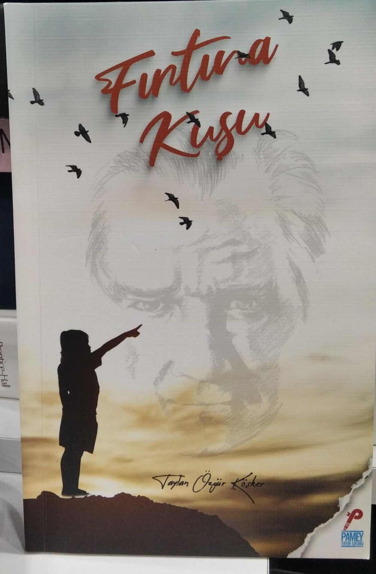 Fırtına Kuşu - Taylan Özgür Köşker