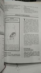 Bebeğinizi Beklerken Sizi Neler Bekler? - ciltli