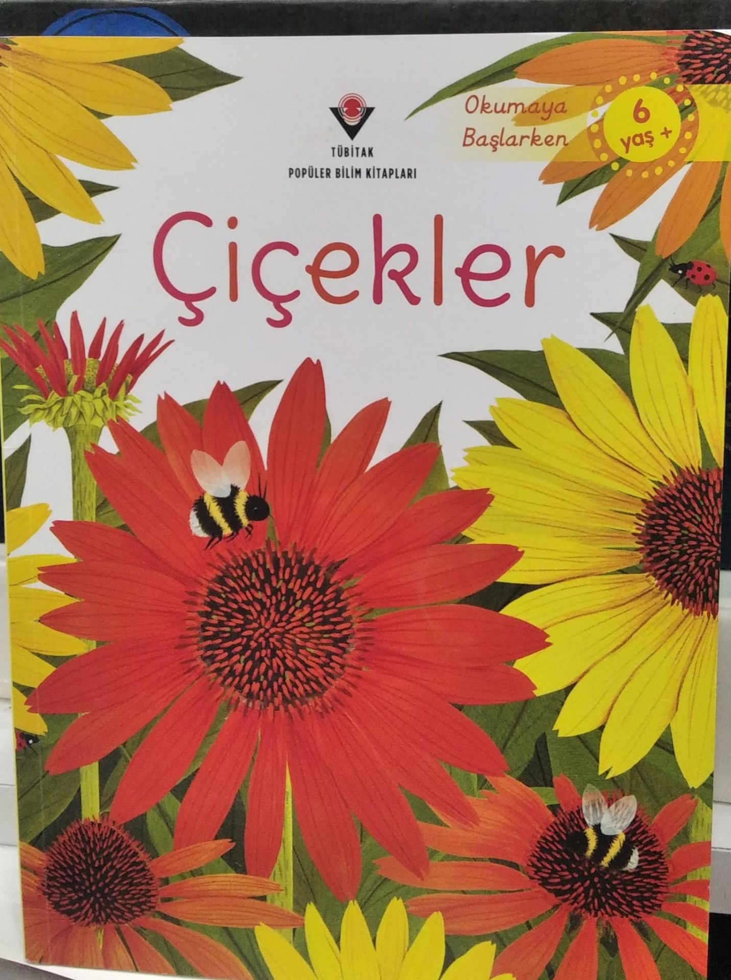 Okumaya Başlarken - Çiçekler /  Emily Bone